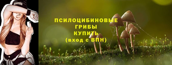СК Алзамай