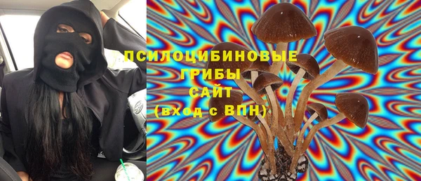 ГАЛЛЮЦИНОГЕННЫЕ ГРИБЫ Алексин