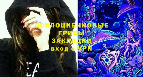 ГАЛЛЮЦИНОГЕННЫЕ ГРИБЫ Алексин