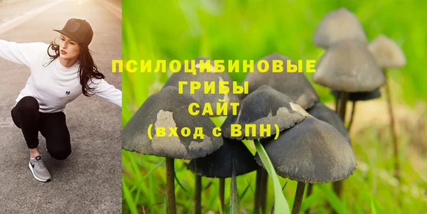 индика Алексеевка